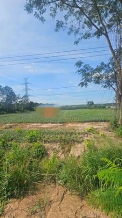 ��·��Թ �Ԥ��Ѳ�����ͧ