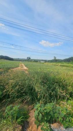 ��·��Թ �Ԥ��Ѳ�����ͧ