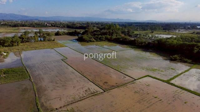 ���Թ �������