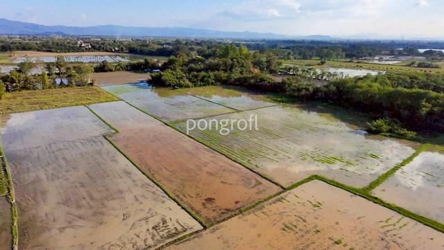 ��·��Թ �ѹ��ᾧ��§����