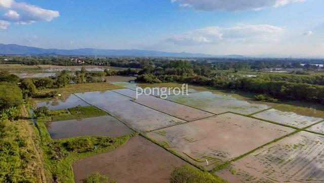 ��·��Թ �ѹ��ᾧ��§����