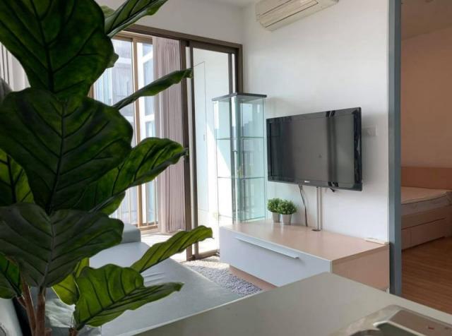 �͹������� �ҧ�ҡ�ا෾