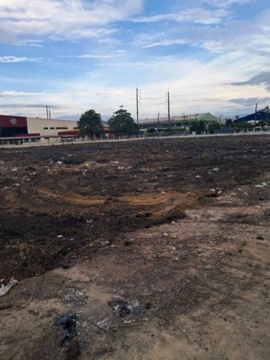 ที่ดิน ที่ดิน