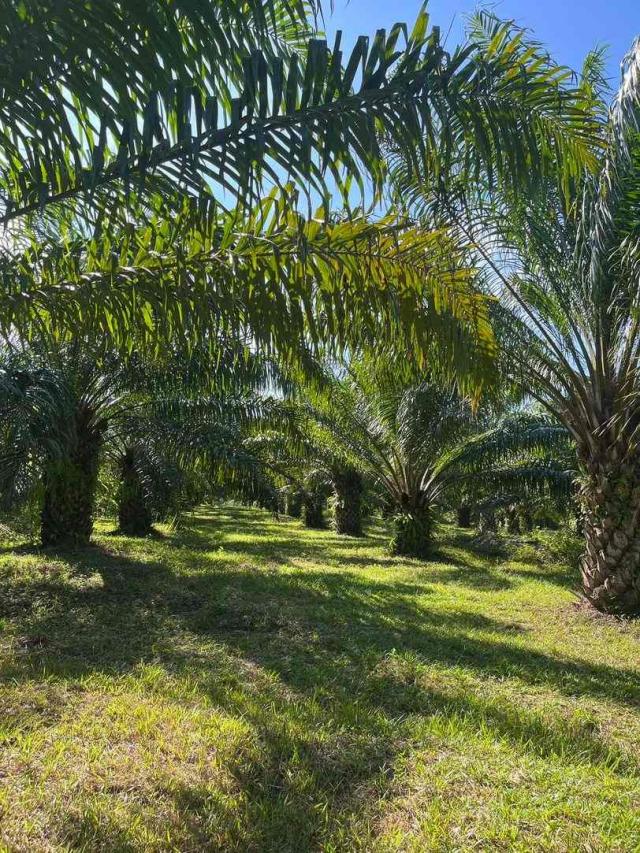 ��·��Թ �з�Ǫ����