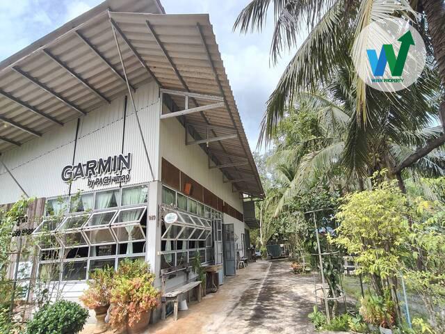 ���⡴ѧ �ǹ��ع�ѷ�ا