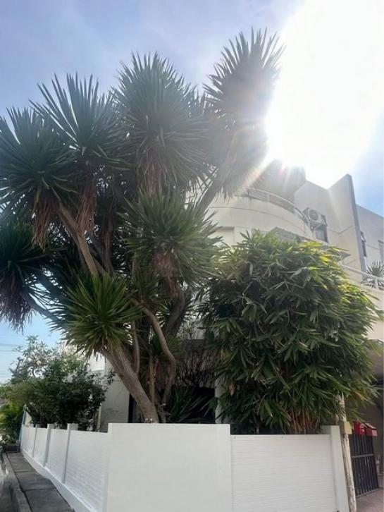 ��ǹ���������� �ҧ�ҡ�ا෾