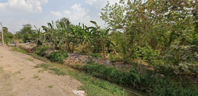 ���Թ �������