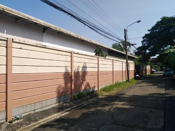 ⡴ѧ������ �ѧ�ͧ��ҧ��ا෾