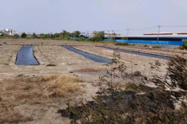 ���Թ �������