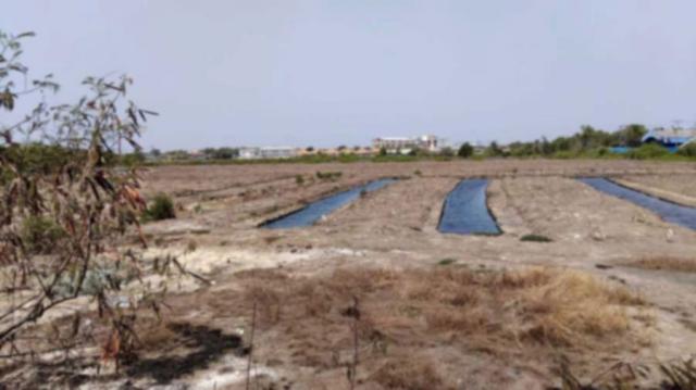 ��·��Թ ���ͧ�ź��ժź���