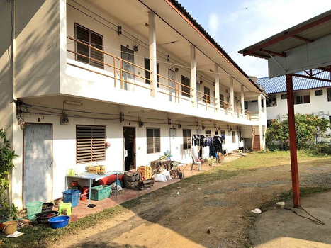 ⡴ѧ ����ç���