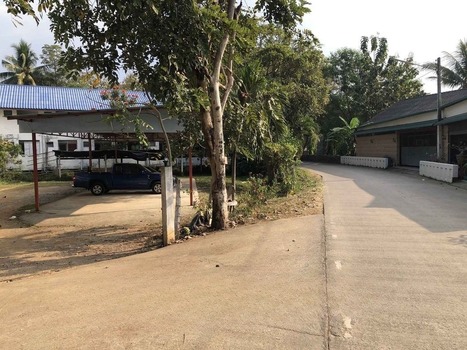 ���⡴ѧ �Ⱥ�Ź����§������§����