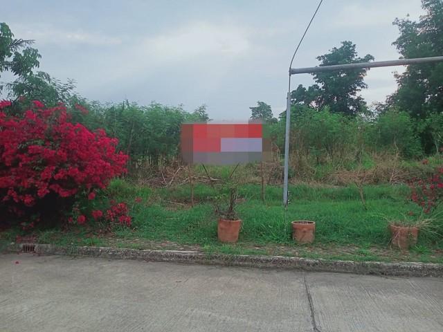 ��·��Թ ��ê����չ�û��