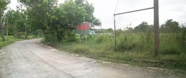 ��·��Թ ��ê����չ�û��