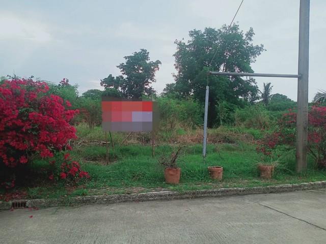 ��·��Թ ��ê����չ�û��