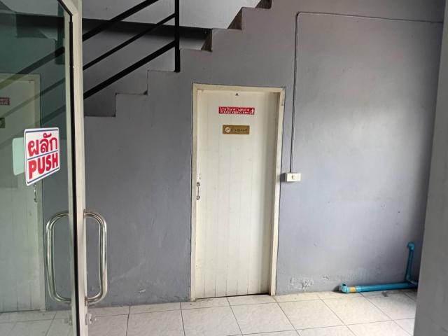 ⡴ѧ������ �ҧ�͹��ا෾