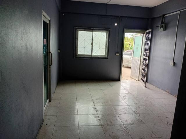 ⡴ѧ������ �ҧ�͹��ا෾