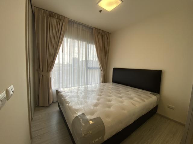 �͹������� ���ͧ������չ������