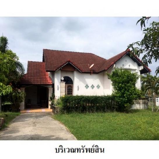 ��º�ҹ �ԧ˹��ʧ���