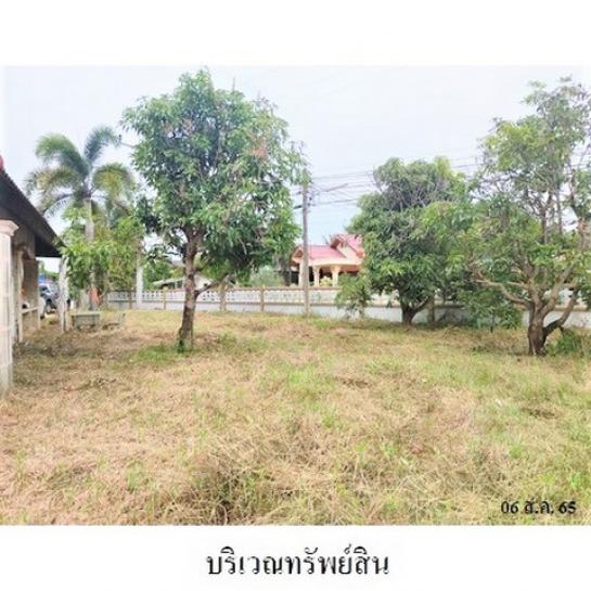 ��º�ҹ �ԧ˹��ʧ���