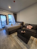 �͹���ͧ����