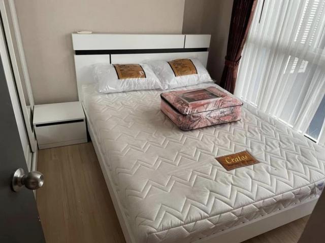 ��¤͹� ���ͧ��§������§����