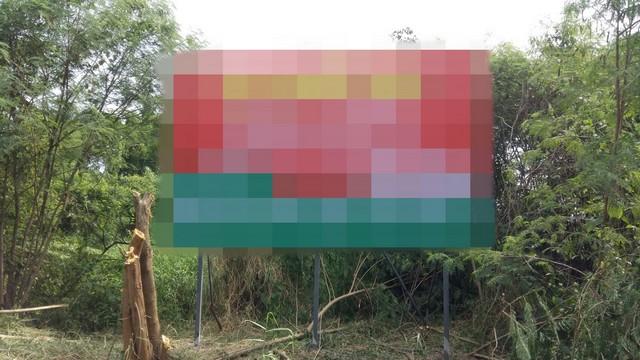 ��·��Թ ˹ͧ�͡��ا෾