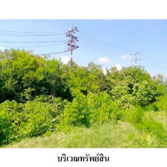 ที่ดิน ที่ดิน