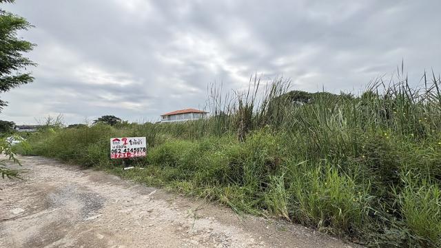 ���Թ������ �оҹ�٧��ا෾