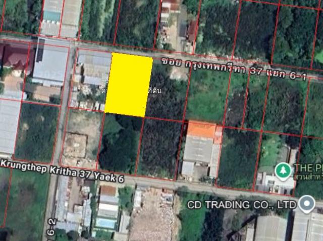 ���Թ������ �оҹ�٧��ا෾