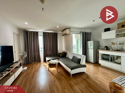 �͹� �������