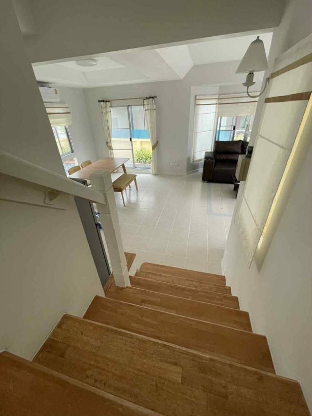 ��ҹ������ �ҧ��� ��طû�ҡ��