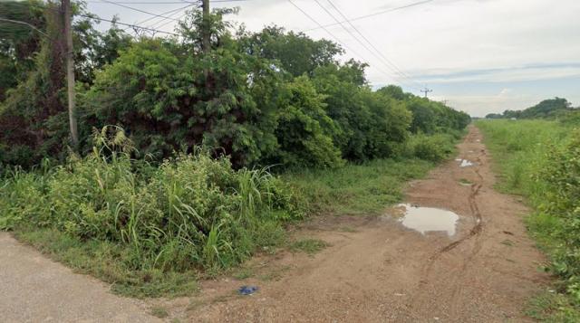 ที่ดิน ที่ดิน