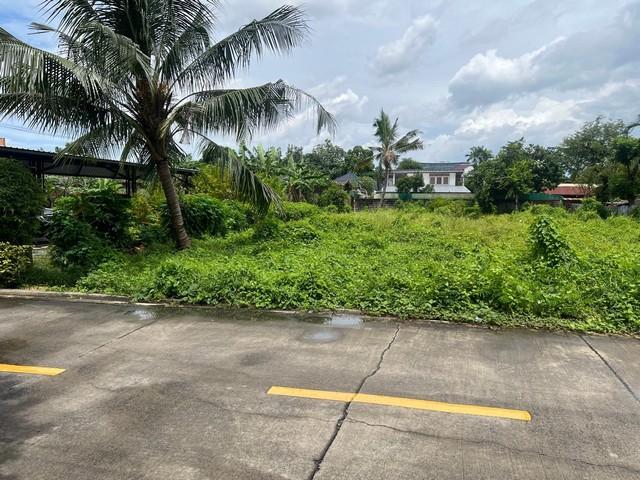 ��·��Թ �Ⱥ�����ͧ�ҡ��紹������