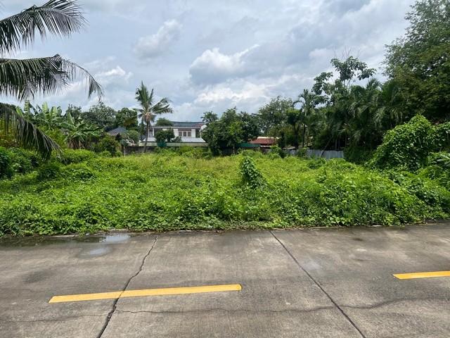 ��·��Թ �Ⱥ�����ͧ�ҡ��紹������