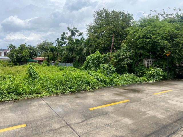 ��·��Թ �Ⱥ�����ͧ�ҡ��紹������