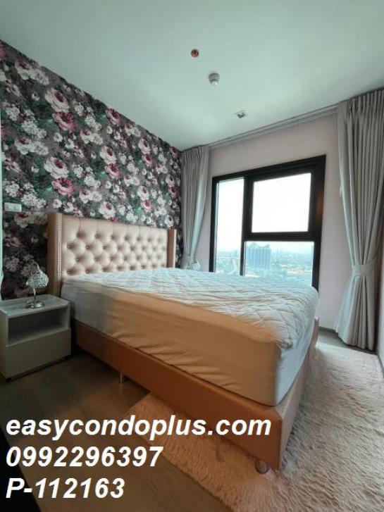 �͹������� ������ԭ��ا෾