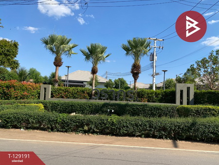 ��º�ҹ ���ͧ�͹�蹢͹��