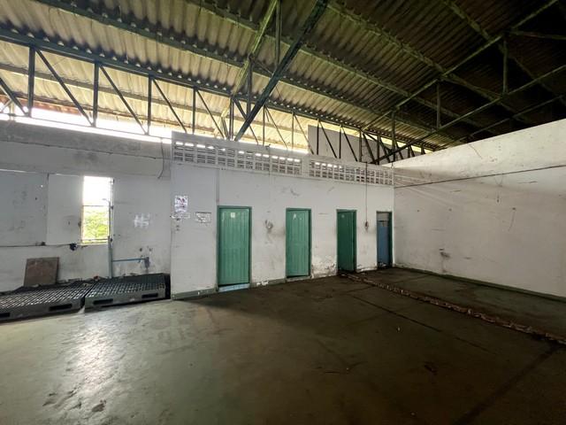 ����ç�ҹ �ҧ�����طû�ҡ��