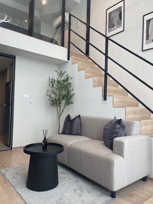 �͹���ͧ�͡���ѧ��� ���¢�ҧ