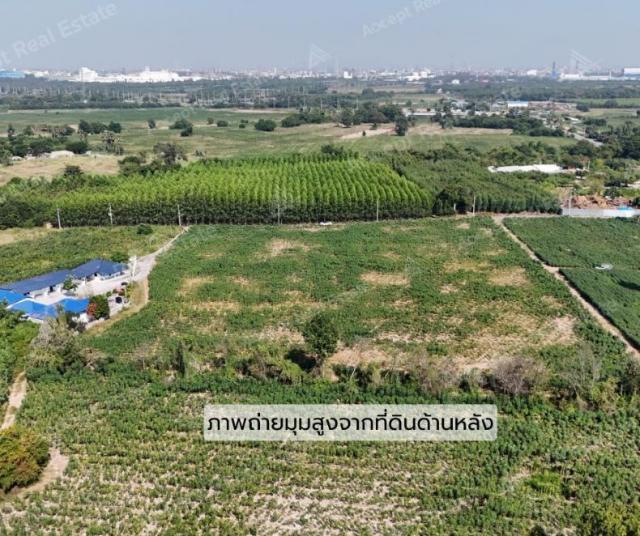 ��·��Թ ��ҹ�ҧ���ͧ