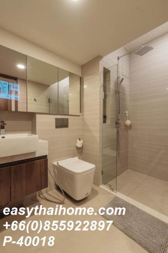 �͹������� �ҧ��