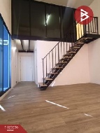 �͹���ͧ���