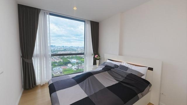 �͹� ���ͧ������� �������