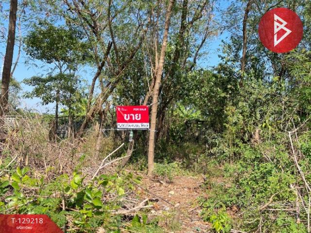 ���Թ �չ����