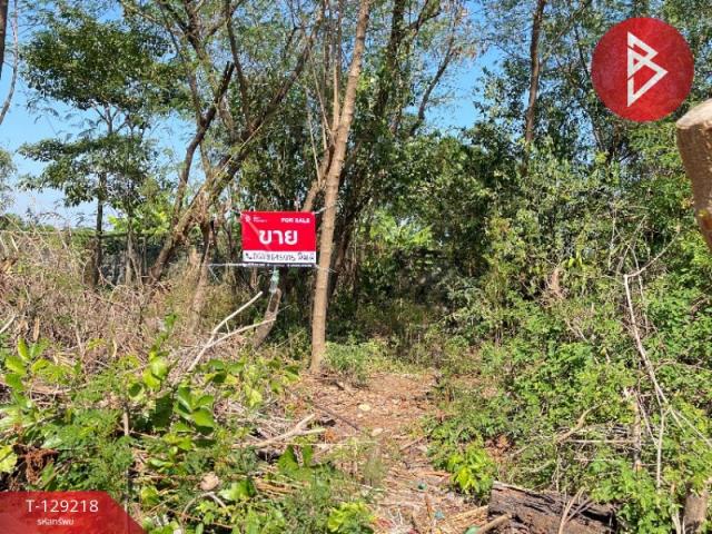 ��·��Թ �չ���ա�ا෾