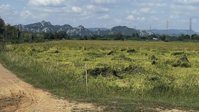 ��·��Թ �觤����к���