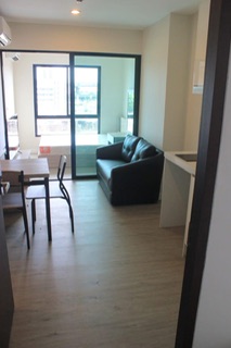 �͹������� �ҧ��