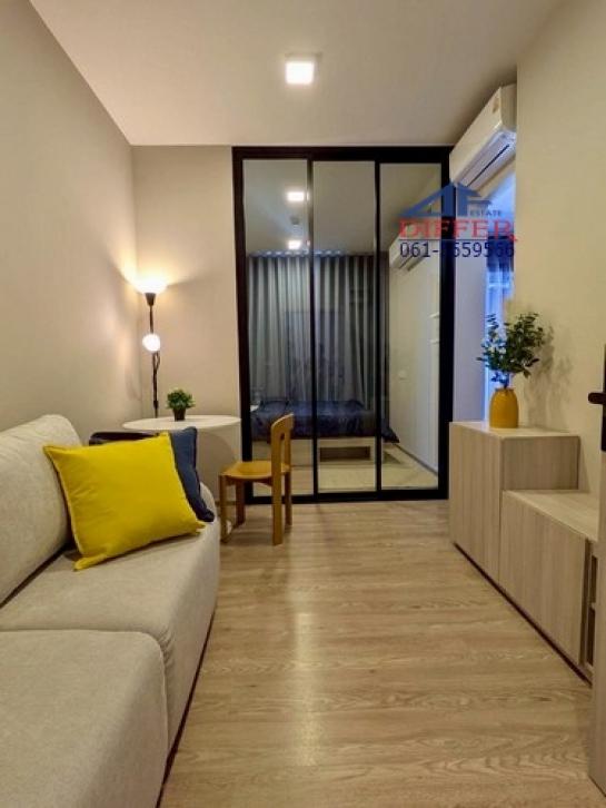 �͹������� �ҧ�˭蹹�����