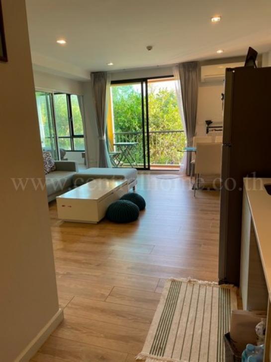 ��¤͹� ��ҳ���ջ�ШǺ���բѹ��